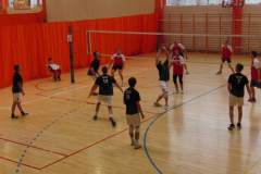 siatkowka_20141020_1072931282