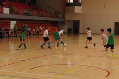 pika_nona_20150119_1310879467