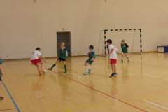 pika_nona_20150119_1334436320