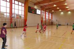pika_nona_20150119_1643907019
