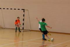 pika_nona_20150119_1795403460