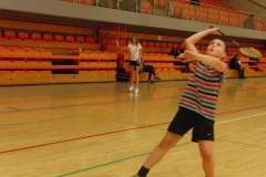 badminton_20141124_1384218761