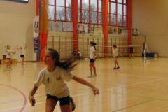 badminton_20141124_1397263113