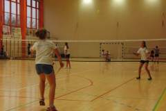 badminton_20141124_1710519152