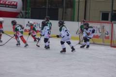 hokej_20171216_1171476259