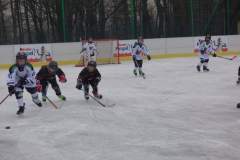 hokej_20171216_1276484553