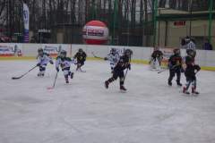 hokej_20171216_1498608214