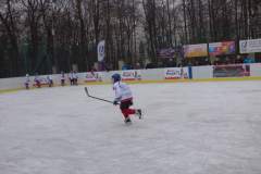 hokej_20171216_1514358133