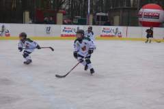 hokej_20171216_1628098141