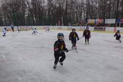 hokej_20171216_1706744920