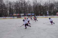 hokej_20171216_1998421501