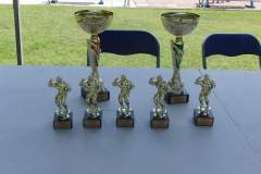 strongman_20160801_1510063889