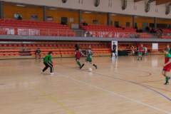 pika_nona_20160118_1036474303