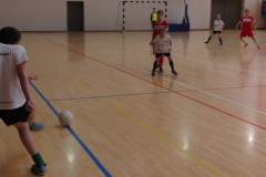 pika_nona_20160118_1570540341