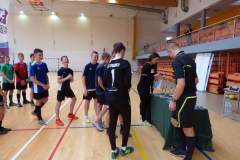 pika_nona_20190209_1334093056