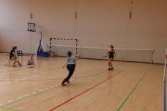badminton_20151123_1243353797