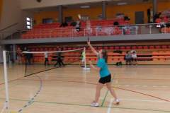 badminton_20151123_1439325215