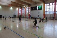 badminton_20151123_1851267813