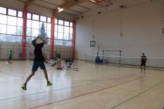 badminton_20151123_1998045659
