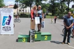 viii_regionalne_mistrzostwa_miast_lska_w_siatkawce_plaowej_28_20130508_1637194333