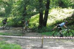 viii_regionalne_mistrzostwa_miast_lska_w_siatkawce_plaowej_30_20130508_1401392776