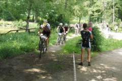 viii_regionalne_mistrzostwa_miast_lska_w_siatkawce_plaowej_8_20130508_1274547942