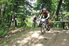 viii_regionalne_mistrzostwa_miast_lska_w_siatkawce_plaowej_9_20130508_1525441706