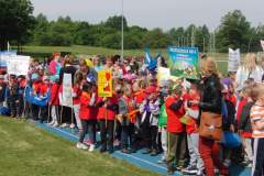 hektor_20150529_1612623319