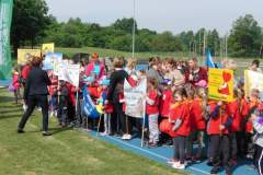 hektor_20150529_1632044693