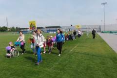 hektor_20150529_1731147224