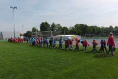 hektor_20150529_1787613421