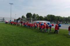 hektor_20150529_1817321463