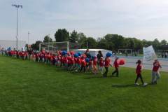 hektor_20150529_1910134987
