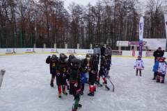 hokej_20181217_1378907953
