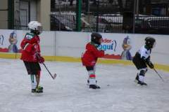 hokej_20181217_1417613909