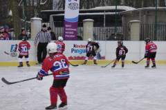 hokej_20181217_1726758795