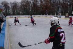 hokej_20181217_1734995266
