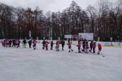 hokej_20181217_1823398054