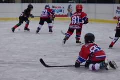 hokej_20181217_1998589498