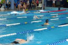 pywanie_20171204_1547661546