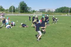 hektor_20170608_1414035858