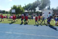hektor_20170608_1723390397