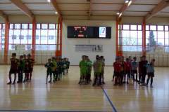 pika_nona_20190128_1433137503