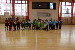 pika_nona_20190128_1702226254