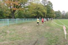 bieg_uliczny_20130929_1798774190