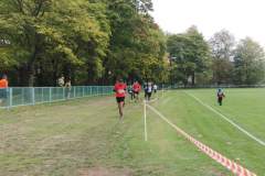 bieg_uliczny_20130929_1846530423