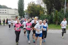 bieg_uliczny_20130929_1943621557