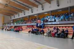 xi_powiatowa_spartakiada_osab_niepenosprawnych_28_20130508_1381828359