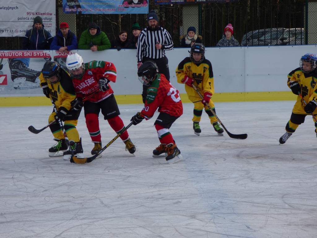 hokej_20191221_1630662882