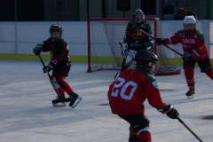 hokej_20191221_1051851714